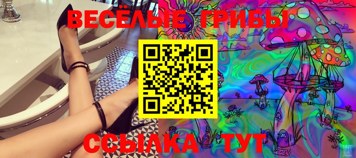 Рассказово  Псилоцибиновые грибы Cubensis  Вход с VPN  Псилоцибиновые грибы ЛСД 