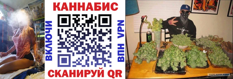 Конопля гибрид  Рассказово 